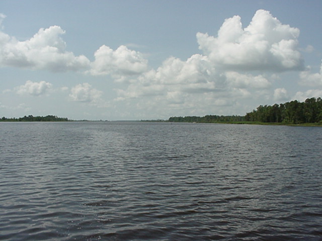 Brunswick River
